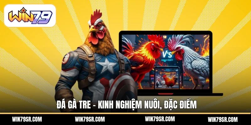 Đá gà tre