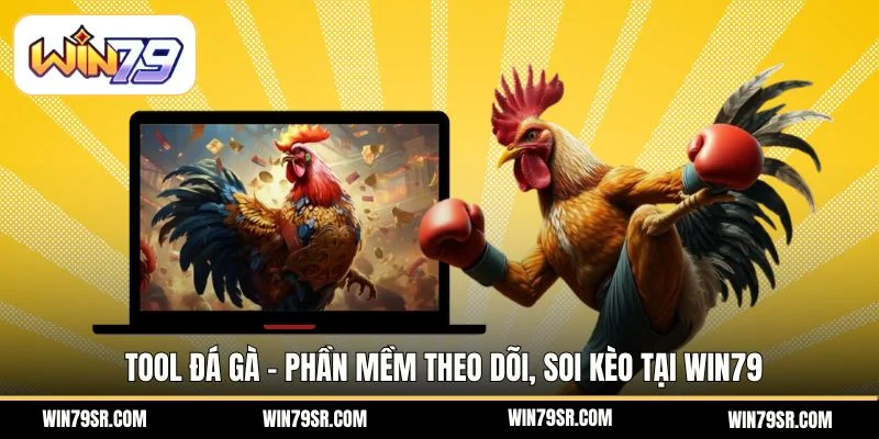 Tool đá gà